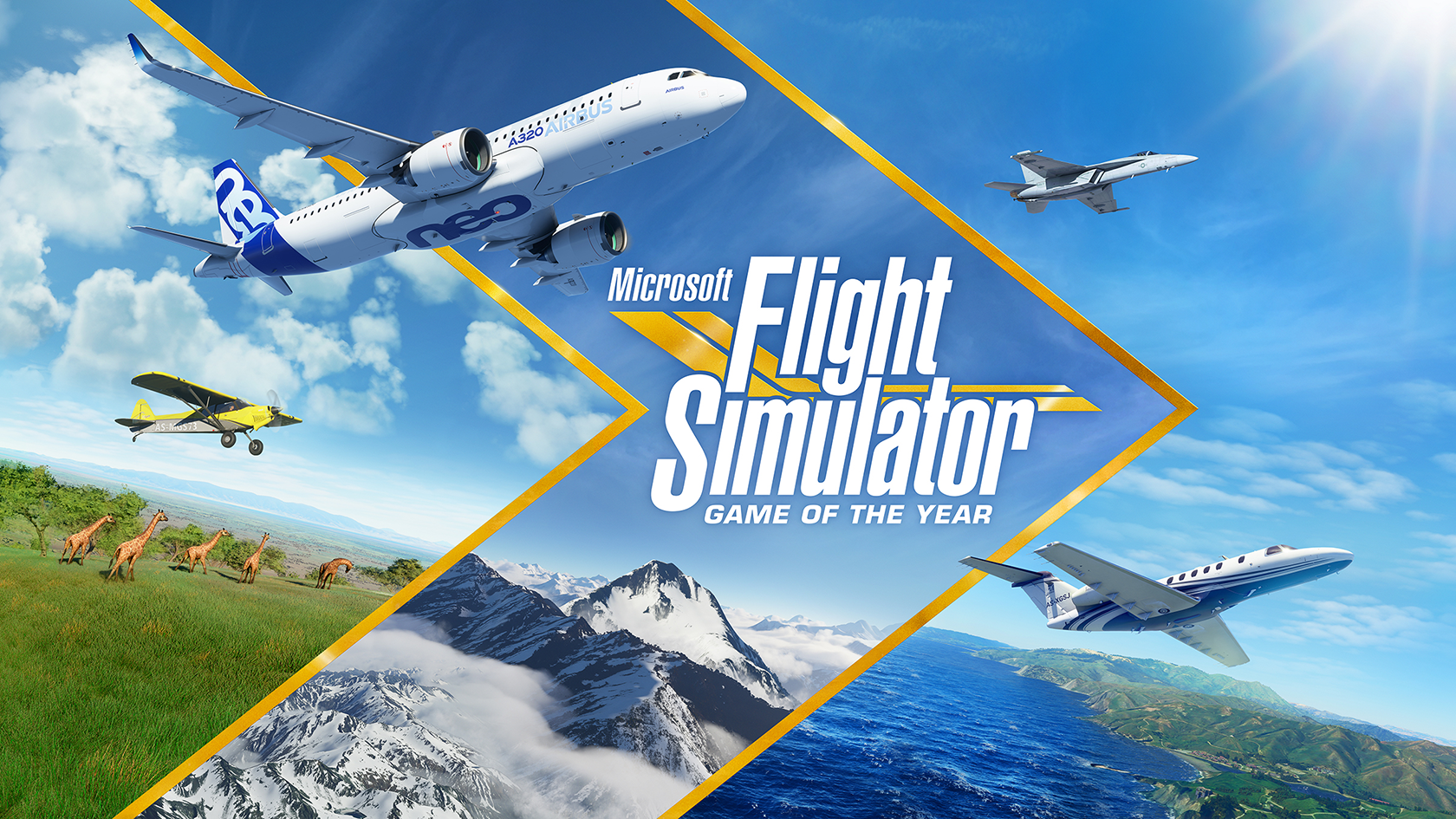Microsoft Flight Simulator Main Viual